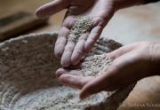 Chleb Ekologiczny Razowiec Lipnicki 100% Żytni Razowy Okrągły 1kg